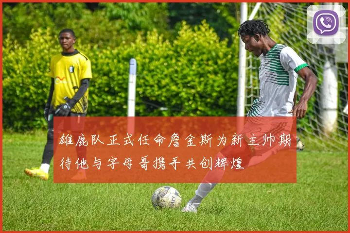 雄鹿队正式任命詹金斯为新主帅期待他与字母哥携手共创辉煌